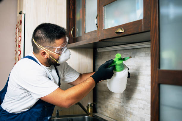 Best Pest Control Near Me  in Vicksburg, MI