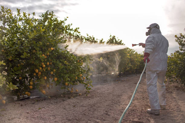 Best Affordable Pest Control Services  in Vicksburg, MI