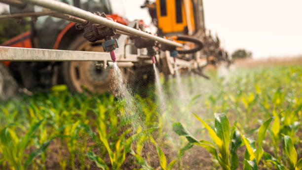 Best Mosquito Control Services  in Vicksburg, MI
